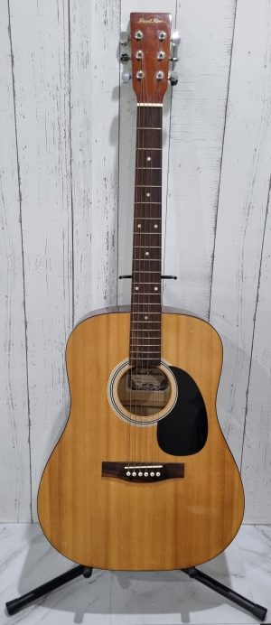 Pearl River Acoustic Guitar TW398830