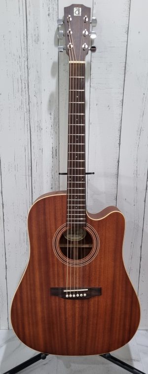 Ayers Acoustic Guitar TW394149