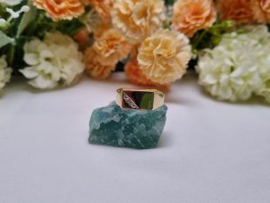 9ct Yellow Gold Signet Ring TW408421