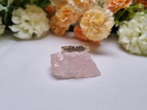 9ct Yellow Gold Bezel Set Ring TW410192