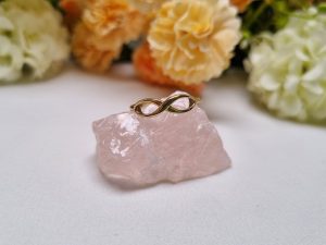 9ct Yellow Gold Infinity Ring TW405747