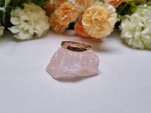 10ct Yellow Gold Band TW399622