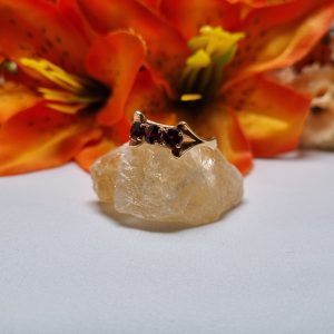 8ct Yellow Gold Three-Stone Red Gem Ring TW396649