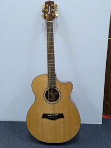 Timberline Electric Acoustic Guitar (T 50 ACe) - BP386655