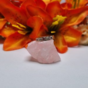 9ct Yellow Gold Red Stone Band TW412743