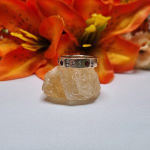 9ct Yellow Gold Red Stone Band TW412723