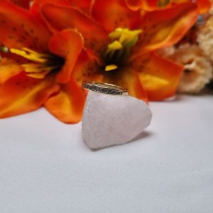 9ct Yellow Gold Channel Set Ring TW404660