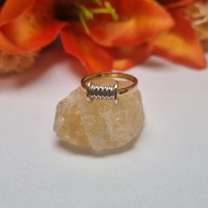 18ct Two Tone Gold Band TW419908