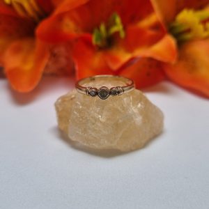 9ct Yellow Gold Three-Stone Bezel Set Ring TW398561
