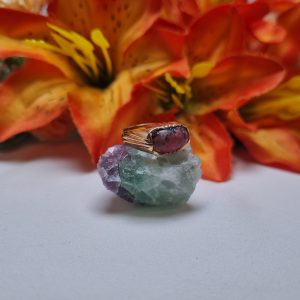 18ct Yellow Gold Red Stone Dress Ring TW370867