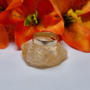 9ct Yellow Gold Band TW406173