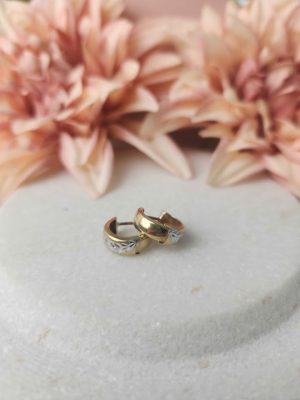 9ct Yellow gold Earrings #GN419017