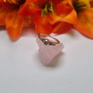 9ct Yellow Gold Bezel Set Ring TW398564