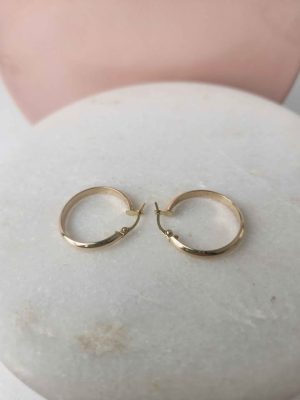 9ct Yellow gold Hoop Earrings #GN419417