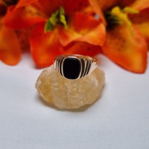9ct Yellow Gold Onyx-Coloured Solitaire Signet Ring TW401743