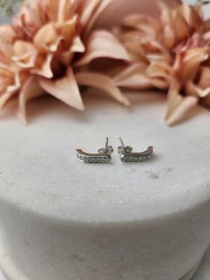 9ct White Gold Earrings #GN409170