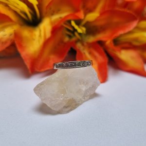 18ct White Gold Channel Set Band TW424343
