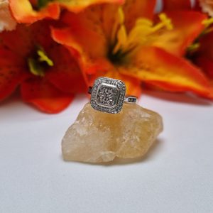 9ct White Gold Halo Cluster Ring TW384824