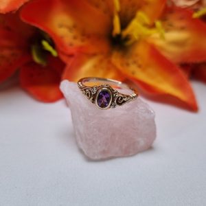 9ct Yellow Gold Purple Stone Dress Ring TW416806
