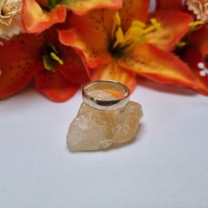 10ct Yellow Gold Band TW404285