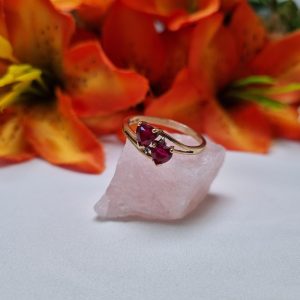 9ct Yellow Gold Red Heart Stone Ring TW392255