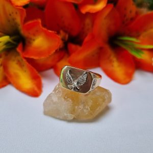 9ct Yellow Gold Eagle Signet Ring TW399817
