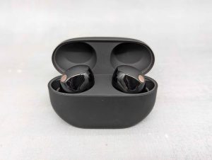 Sony True Wireless Noise-Cancelling Earbuds (WF-1000XM5) - BP434579