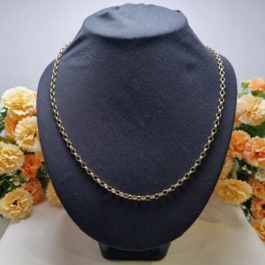 9ct Yellow Gold Belcher Chain TW400436