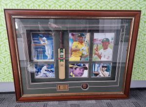 Ricky Ponting Framed Memorabilia IP435698