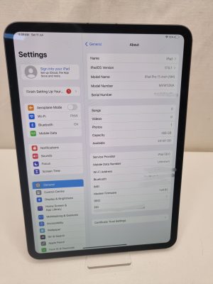 iPad Pro 11-inch IP378384