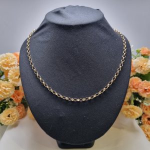 9ct Yellow Gold Belcher Chain TW405553
