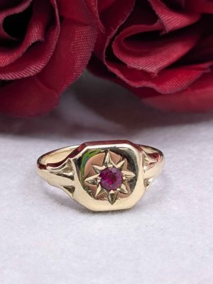 Ladies 9ct Gold Signet Birthstone Ring - BL435305