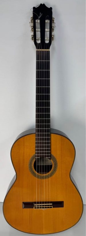 Salvador Ibanez G200E-NT-2Y-01 Classical Guitar GN440838