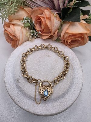 9CT Yellow Gold Padlock Belcher Bracelet - IP405387