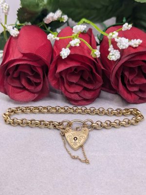 Ladies 9ct Yellow Gold Belcher Style Locket Bracelet - BL404204