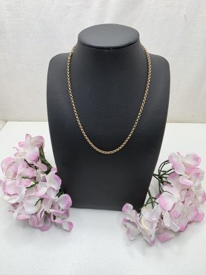 9ct Yellow Gold Belcher Chain - IP400579-1