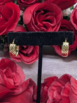 Ladies 9ct Yellow Gold Hoop Earrings - BL438345