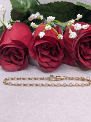 Ladies 9ct Yellow Gold Belcher Style Bracelet - BL416922