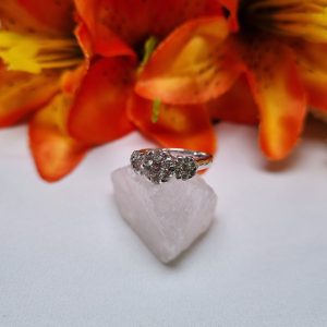 9ct White Gold Diamond Cluster Ring TW403125