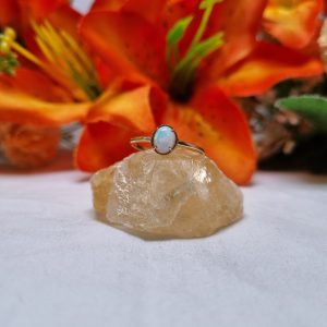 9ct Yellow Gold Solitaire Opal Ring TW434553